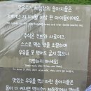 [제주] 아이랑 5월초 4박5일 여행: 2일차(제주레일바이크, 갈치왕 성산점, 아침미소목장) 일정 후기