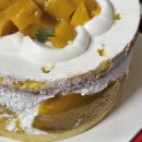 황성공원 광장 화장실 | 목동 광장 파리공원 브런치카페 맛집, 콜렉티보 망고케이크 후기(주차가능)