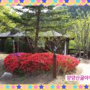 양양펜션산울림
