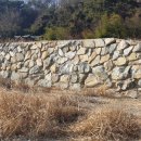 효령면사무소 이미지