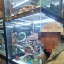 이웃집숯불갈비 네이버블로그
