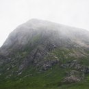 행운목장 이미지