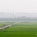 파이날 모터스 이미지