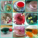 꽃피는산골 이미지