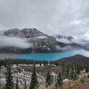 ★ 잠실주공5단지 조합원총회 성공적 마무리 ★ 이미지