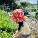 🥜👩🏻‍🌾 꼬마 농부 땅콩 수확하는 날 🧑🏻‍🌾🥜 이미지