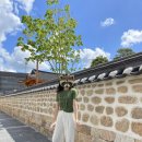바람골막국수 | 전주, 여수 1박 2일 찍먹 여행