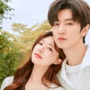 참사랑속셈학원 | 내 인생 첫 중국드라마 &#39;투투장부주&#39; 후기
