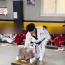 맹호태권도장 이미지