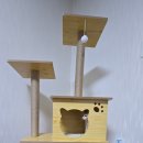 오로라 캣 이미지