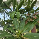 품속농장 이미지