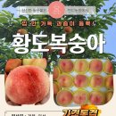 황도