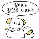 꿀잠하우스 이미지