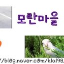 모란주