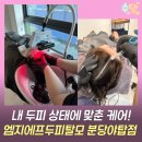 엠지에프두피탈모전문센터 분당점