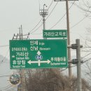 인제약국 | 2026 주주송이 설날에 떠난 인제-양양여행( 인제자작나무숲, 고메똥골, 송이닭강정, 카페맴맴, 호텔...