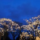 추혁진 가수님 제33회 대한민국 문화연예대상🏆 이미지