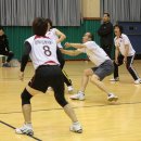 선기로2-11 이미지