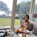 애프터눈가든 | 해운대 파라다이스호텔 부산 크리스탈가든 애프터눈티 후기