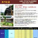 바다로가는길목 펜션 이미지