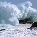 파도파도 이미지