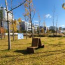 옥정중앙공원 아쿠아가든 이미지