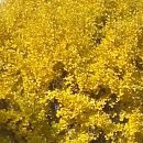 GBHK 행정사사무소 이미지