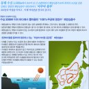 석수와퓨리스