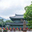 영암관광두레 체험여행상품전= 9.15~11.16까지= 막걸리~한복~염색~자전거투어~명상체험까지 이미지