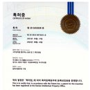 와사비아 이미지