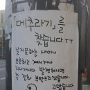 메추라기집 이미지