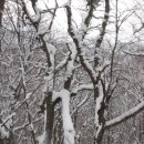 왕산리 이미지