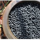 풍창농장 이미지