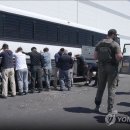 미국 조지아 한국인 300여명 체포, 노조의 반미 활동 연관설 등 다양한 의혹 대두 이미지