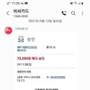 구남천 이미지