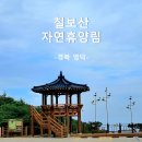 영덕 칠보산 자연휴양림에서 야영하다.
