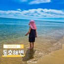 멍사무소 | 양양 해수욕장 추천 동호해변 아이와 가볼만한 곳 멍비치 주차