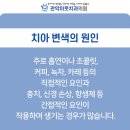 새하얀미소치과의원 네이버블로그