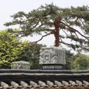 윤자운 사우 네이버블로그