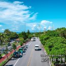 대한렌트카(주) | 오키나와 렌트카 여행 코스 찜카 할인