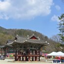 완주 송광사 관광안내소 | 완주군 소양면 송광사와 벚꽃길