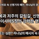 이사야5장과 신명기의 연관성 이미지