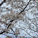 반쟁이공원 이미지