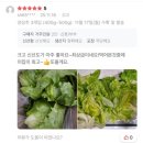 병순농장 | [공지] 유기농 양상추 벌크용 판매, 샐러드 샌드위치 햄버거 용도로 추천