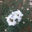 경상남도 수목원(열대식물원) 티스토리