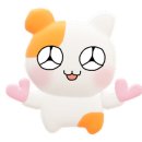투뎁 이미지