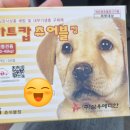 솔모루약국 이미지