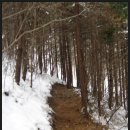 숲 걷기 명상 이미지