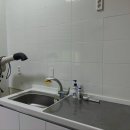 스테이독 이미지