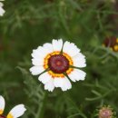 무지개 하이 이미지